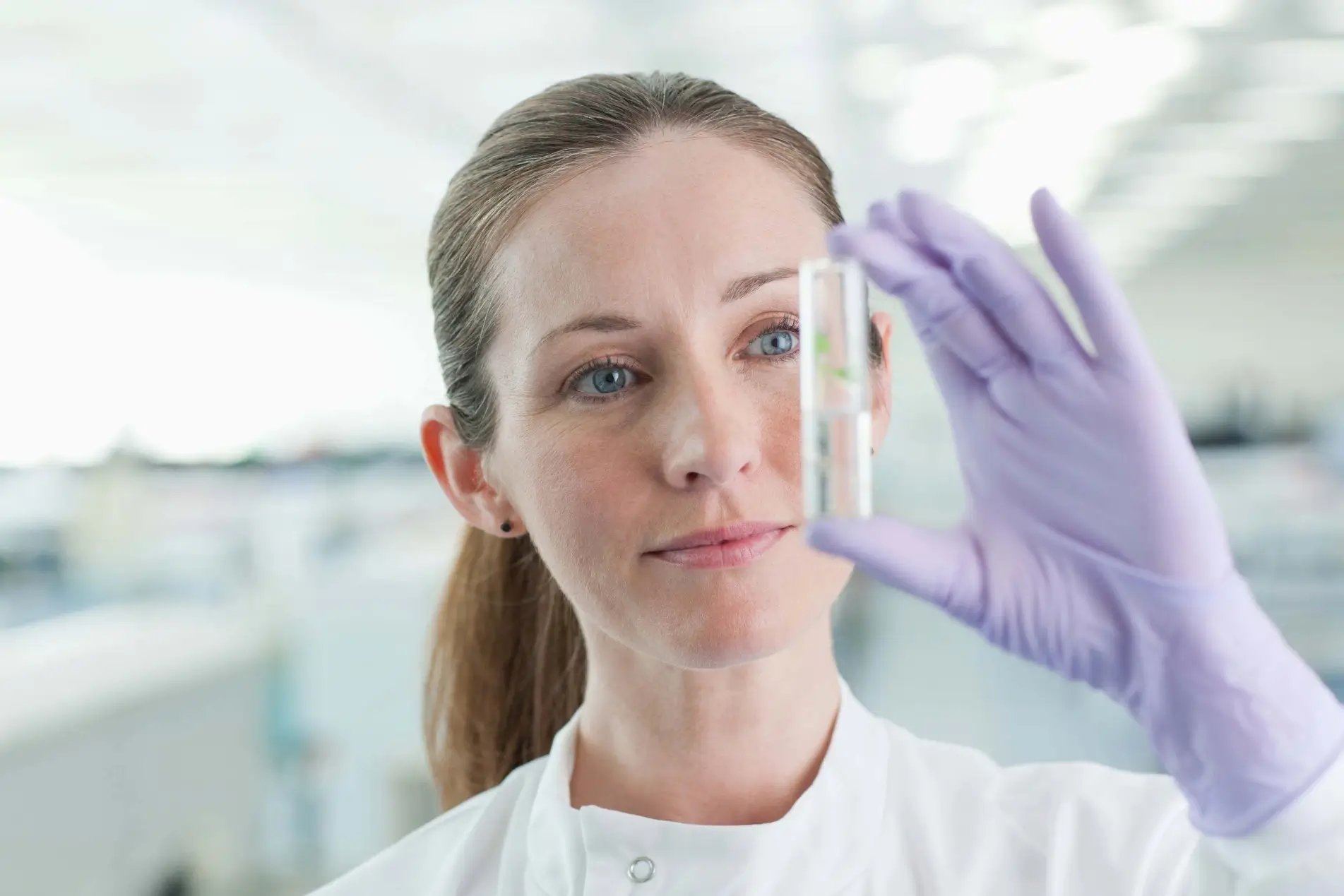 scientist in a white lab coat and purple gloves holds up a clear container with a small green plant inside