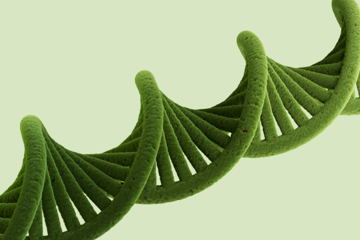 Green double helix